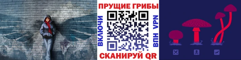 Псилоцибиновые грибы прущие грибы  Власиха 